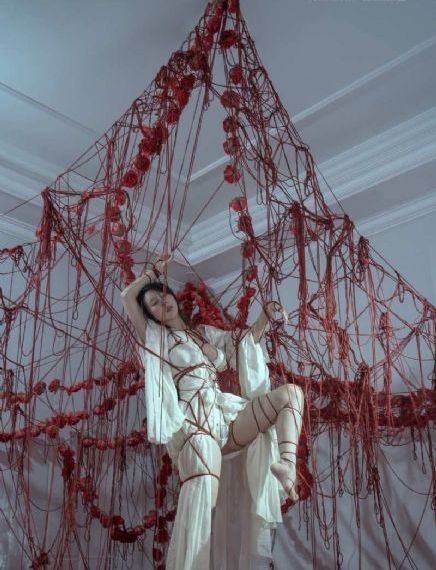 欧美xx高清片xx美xx_DVD电影全集观看