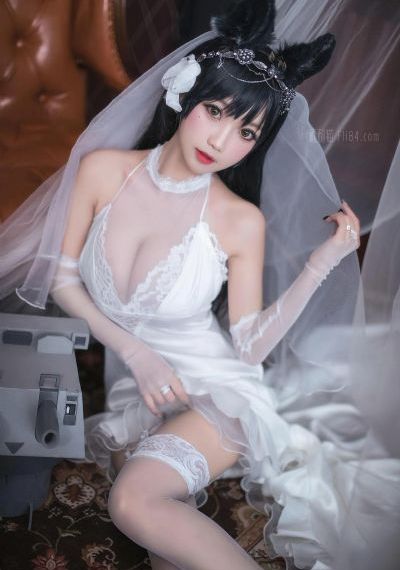日韩美女被乱_高清电影完整版在线观看