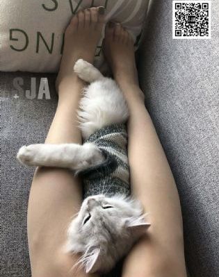 免费观看全集_720电影完整版在线观看